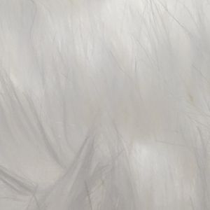 SHORT WHITE FAUX COLLAR